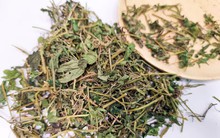 1 loại lá phơi khô có bán ở chợ Việt được ví như insulin tự nhiên: Vừa hạ đường huyết, vừa quét sạch mỡ máu hiệu quả