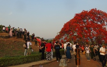 Hàng vạn du khách đổ về Điện Biên Phủ trước giờ đại lễ