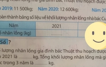 Thêm một bài toán tiểu học khiến phụ huynh phải "lùng sục" cả đêm để tìm đáp án, huy động cả họ hàng cũng không thể giải nổi