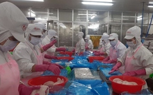 Doanh nghiệp phục hồi, kim ngạch xuất khẩu của Tiền Giang đạt hơn 1,8 tỷ USD