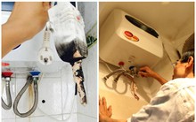 Thói quen dùng 1 thiết bị nhiều nhà duy trì từ đông sang hè: Vừa nguy hiểm vừa khiến tiền điện tăng vọt