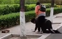 Cảnh bố quỳ xin lỗi vì không có tiền mua iPhone cho con gái gây bất bình dữ dội