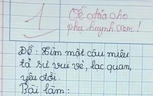 Đề văn yêu cầu miêu tả sự lạc quan, cậu bé "ngoáy" vài chữ, cô giáo đọc xong chỉ biết câm nín