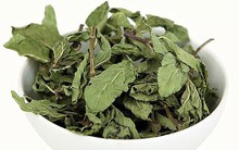 Việt Nam có 1 loại lá thơm mát, pha với nước thành "thuốc" hạ đường huyết tự nhiên, giàu vitamin A lại rất ít calo, cực tốt cho tiêu hóa