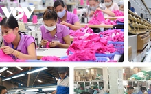 Infographic: Kinh tế 5 tháng đầu năm có nhiều chỉ số tích cực