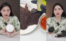 Review chê bò khô của Quang Linh Vlogs, Hà Linh bất ngờ bị đào lại lùm xùm rau xào: "Khẩu vị khác thường thì đừng review đồ ăn nữa"