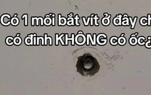 Chiếc đinh ốc biết "động đậy" trong phòng thay đồ ở bãi biển khiến cô gái hoảng hồn, có bí mật đen tối phía sau?