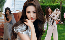 Bên trong dinh thự 16.700m2: Cuộc sống thần tiên của "phú bà quyền lực" Lưu Diệc Phi cùng hơn 50 chú mèo