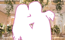 Đám cưới gây choáng nhất Vbiz: 1000 khách mời, đón dâu bằng dàn xế hộp 20 tỷ, tiền mừng cưới mới gây sốc