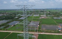 EVN hoàn thành, đóng điện và đưa vào vận hành 45 công trình lưới điện