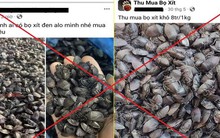 Công an cảnh báo thủ đoạn lừa đảo mua bọ xít đen giá cao