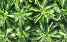 Dáng đứng Bến Tre giữa thời bình (Kỳ cuối)