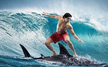 Góc nhìn chuyên gia: Nhịp điều chỉnh là "điều kiện cần" để bước vào sóng mới, một số nhóm cổ phiếu có thể bật tăng sớm hơn thị trường