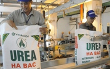 Cấp thiết đưa thuế GTGT phân bón về mức 5%