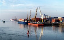 Thúc đẩy năng lực xuất khẩu của vùng kinh tế trọng điểm