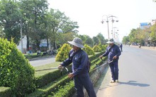 Bộ Công an yêu cầu cung cấp hồ sơ 30 dự án cây xanh ở Phú Yên