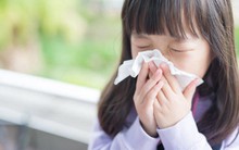 Cách dùng điều hòa để tránh các bệnh hô hấp trong những ngày nắng nóng