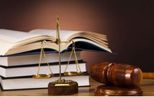 Thanh tra chuyển 4 vụ việc sang cơ quan điều tra; kỷ luật Chủ tịch xã