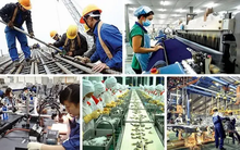 Nửa đầu năm, sản xuất khởi sắc, xuất khẩu tăng trưởng ấn tượng