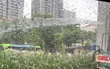 Xác minh thông tin công nhân phun nước tưới cây giữa trời mưa to ở Hà Nội