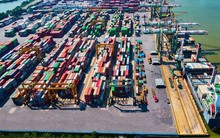 Viconship sau biến động nhân sự cấp cao và sự xuất hiện của cổ đông lớn duy nhất