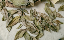 Việt Nam có nhiều 3 loại lá, phơi khô thành thảo dược quý giúp hạ đường huyết rất nhạy, còn giảm huyết áp, khiến ung thư "sợ hãi"