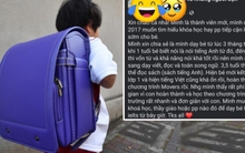 Con mới 7 tuổi, bố mẹ đã lên mạng xin bí quyết... học IELTS, ai đọc xong cũng nhăn mặt: Cuộc sống của các cháu bé giờ áp lực thế!