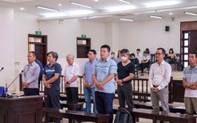 Cựu tổng giám đốc VEC Mai Tuấn Anh xin hưởng án treo