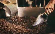 Tổng công ty Cà phê báo lãi năm 2023 nhưng vẫn lỗ lũy kế nghìn tỷ