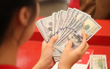 Vì sao giá USD tự do liên tục "nổi sóng"?