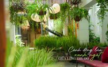 1 công ty sở hữu tới 2 nhà hàng liên tục được Michelin “ưu ái” tại Hà Nội: Không chỉ ăn ngon, còn hóa “đồng lúa” xanh ngát giữa lòng Thủ đô