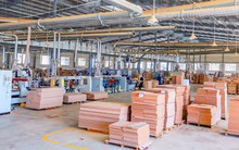 Phú Tài vẫn duy trì mức cổ tức hấp dẫn sau loạt tin đóng cửa các nhà máy