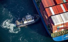 'Ác mộng' đại dịch trở lại: Mùa cao điểm chưa tới, giá cước vận tải biển đã 'nhảy múa'