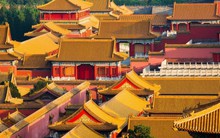 Tại sao trên nóc Tử Cấm Thành không bao giờ có phân chim?