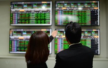 Chuyên gia điểm tên nhóm cổ phiếu đang ở vùng "quá bán", KQKD quý 2/2024 dự báo tích cực 