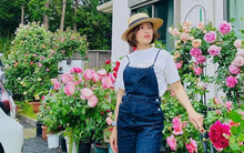 Ngôi nhà lúc nào cũng thơm nức mùi hoa vì có vườn hồng hơn 80 loại của mẹ Việt ở Nhật