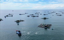 Kinh tế biển - nền tảng phát triển bền vững