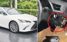 Đỗ ô tô dưới cây cao, sau khi mưa bão kết thúc, chủ xe ra kiểm tra thì tá hỏa với cảnh tượng trước mắt