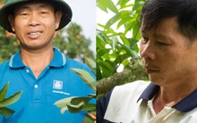 Vải thiều mất mùa: Kẻ khóc - người cười