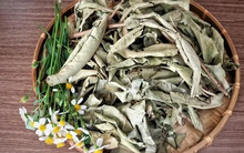 1 loại lá phơi khô có vị thanh mát tốt ngang insulin tự nhiên, là ‘‘bài thuốc’’ giúp hạ đường huyết, giảm mỡ máu hiệu quả: Việt Nam có rất nhiều