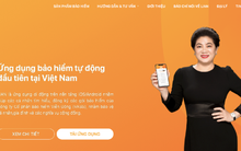 Bảo hiểm Viễn Đông liên quan tới Shark Liên bị hủy tư cách công ty đại chúng