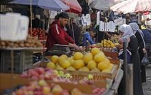 Giá lương thực thế giới tăng tháng thứ 3 liên tiếp