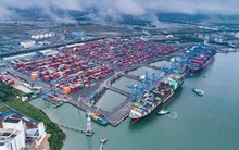 Giá cước lập đỉnh mới, DN cảng biển Gemadept, Viconship, Hải An... sôi sục tham vọng