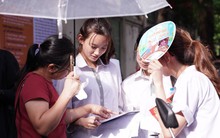 HOT: Điểm chuẩn lớp 10 chuyên Hà Nội 2024, lớp chuyên Toán Ams giữ top 1