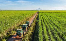 "Công chúa mía đường" muốn bán 70 triệu cổ phiếu SBT