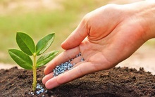 Công ty phân bón đầu tiên công bố BCTC quý 2/2024: Lãi tăng gấp đôi cùng kỳ, cao nhất trong vòng 34 quý