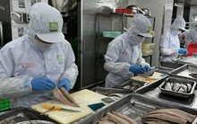 Chưa có quy định về việc hoán đổi số năm đóng BHXH để về hưu trước tuổi