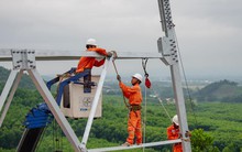 Báo động 'sức khỏe' nhiều tập đoàn, tổng công ty