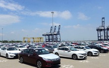 Đề xuất phân giao hạn ngạch thuế quan nhập khẩu ô tô đã qua sử dụng