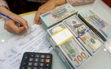 "Thị trường đang ổn định, chưa cần can thiệp, nên giữ nguyên lãi suất tiền gửi USD 0%"